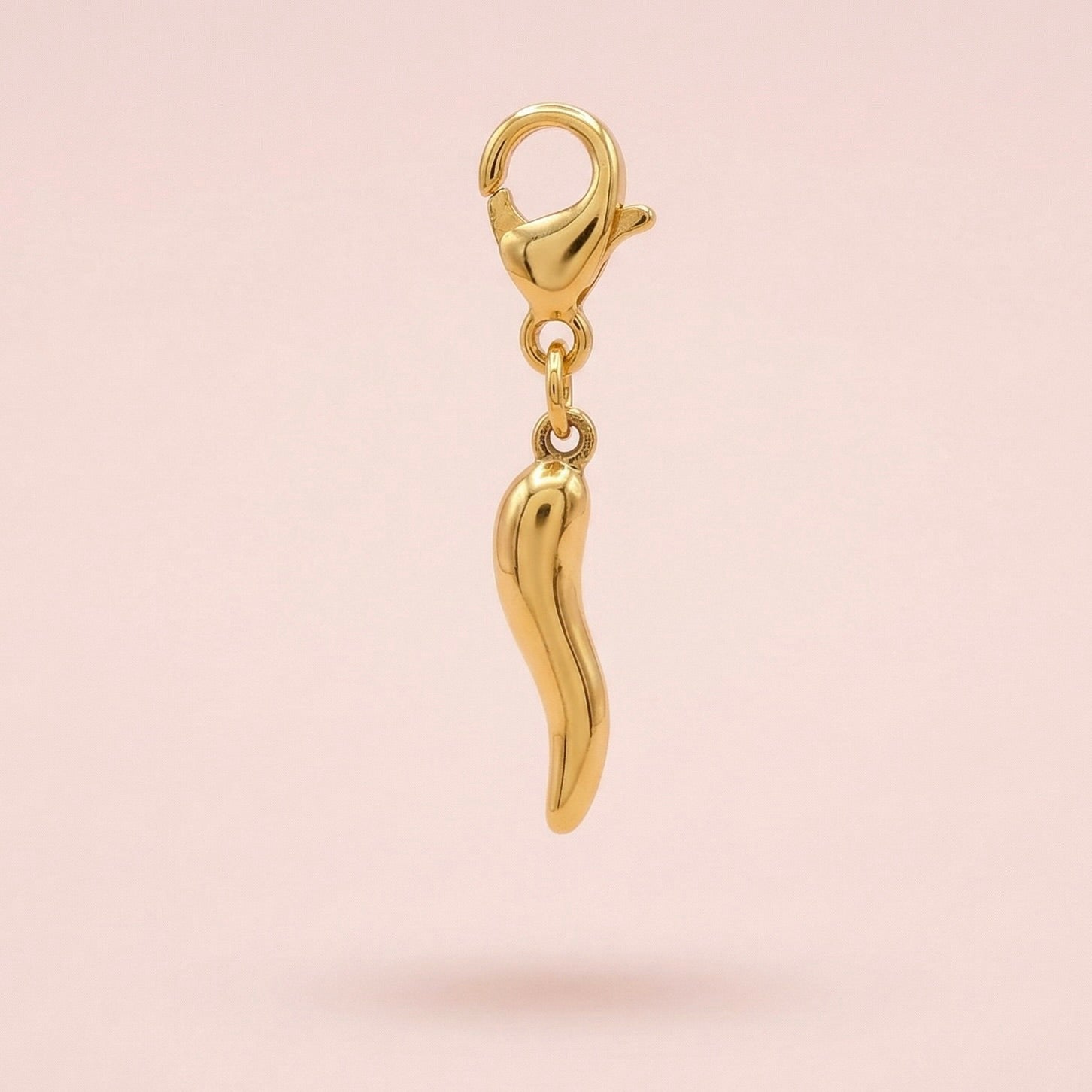 CHARMS CORNE ABONDANCE