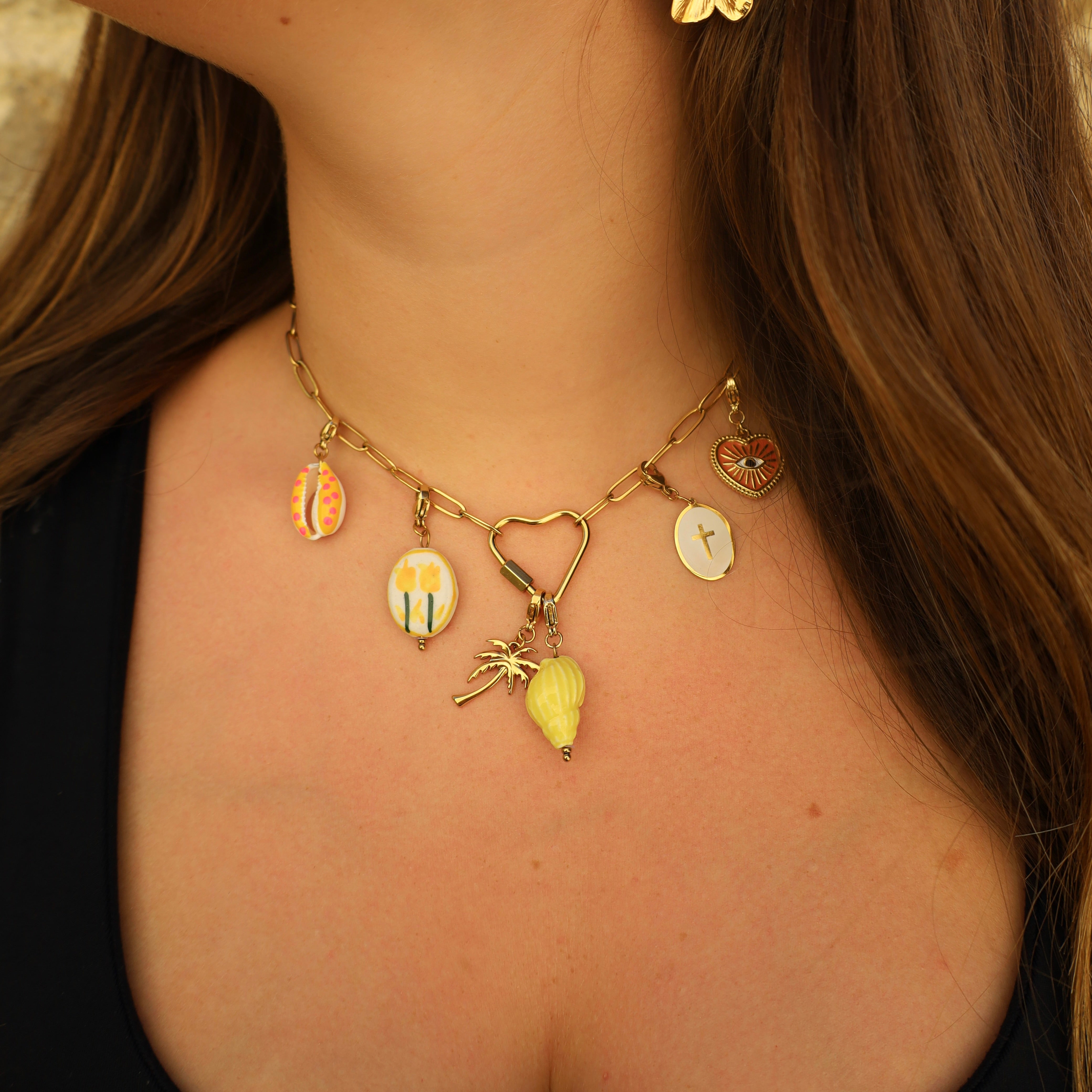 CHARMS - ANAE