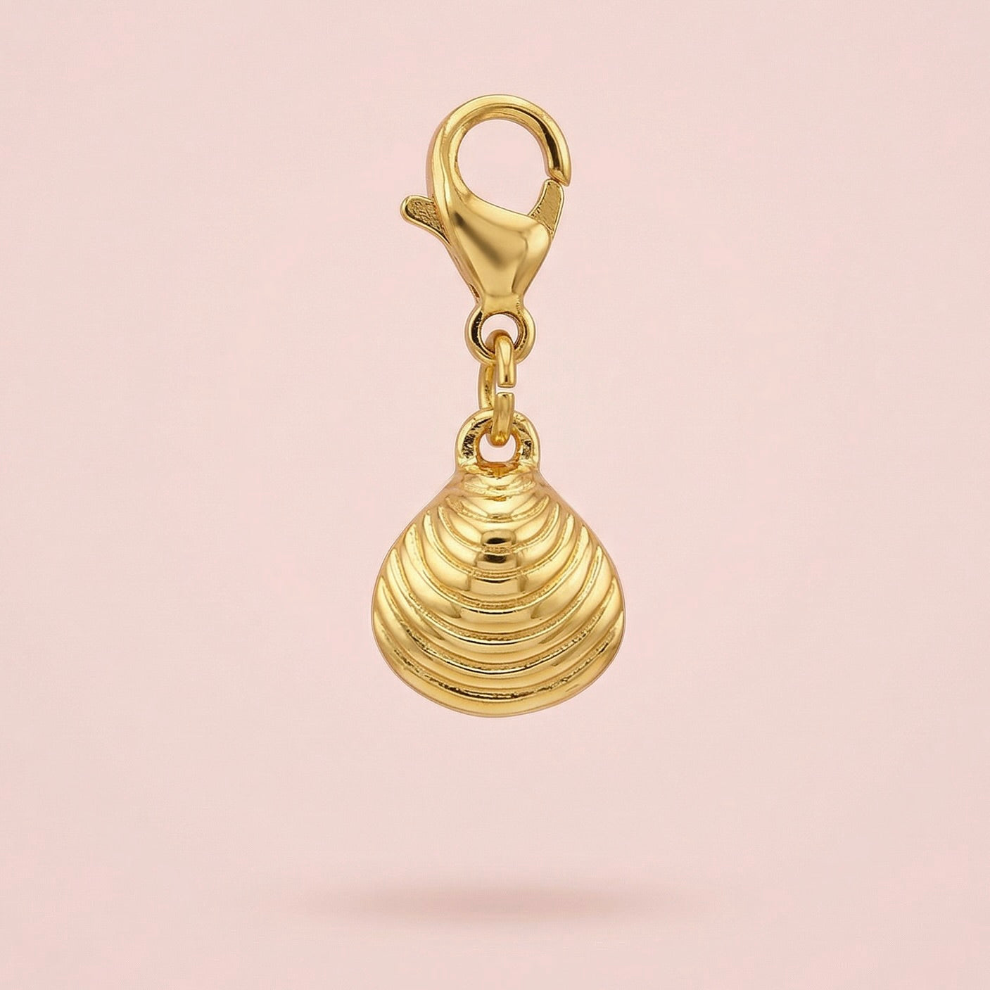 CHARMS - VONGOLE