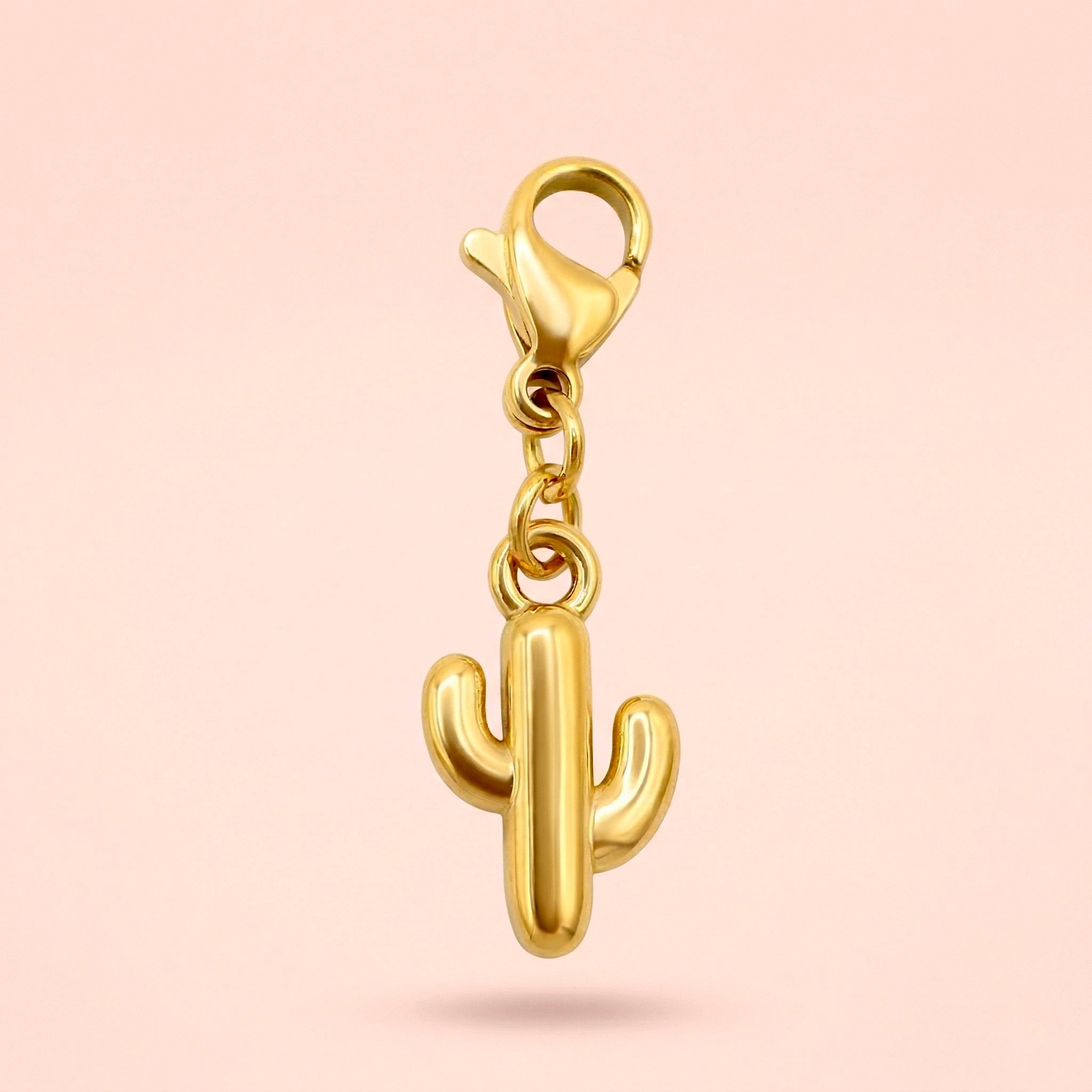 CHARMS - CACTUS