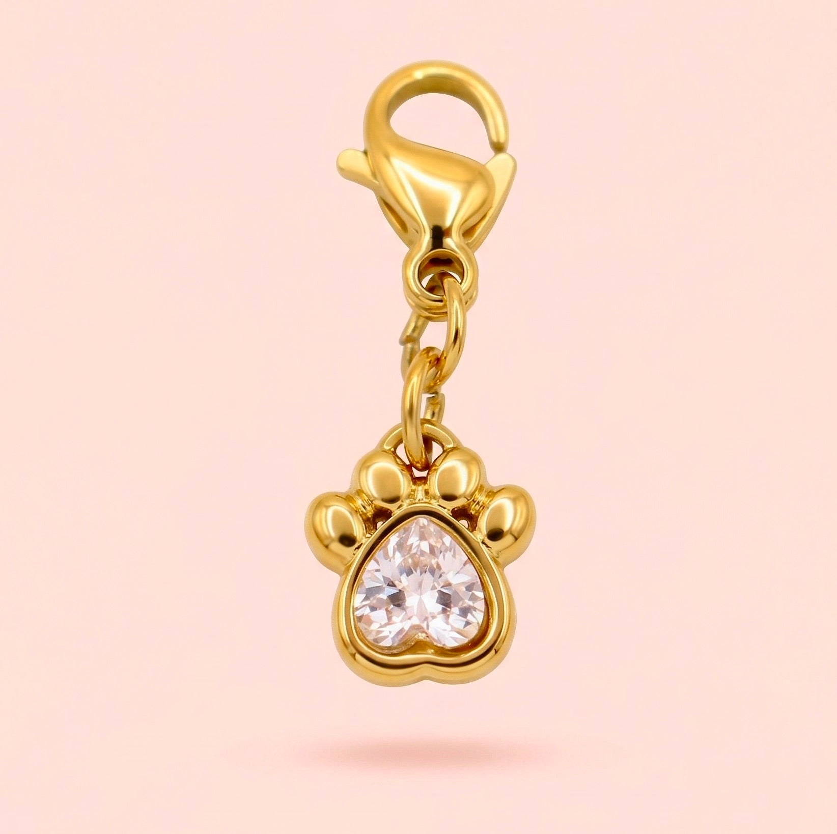 CHARMS - PATTE