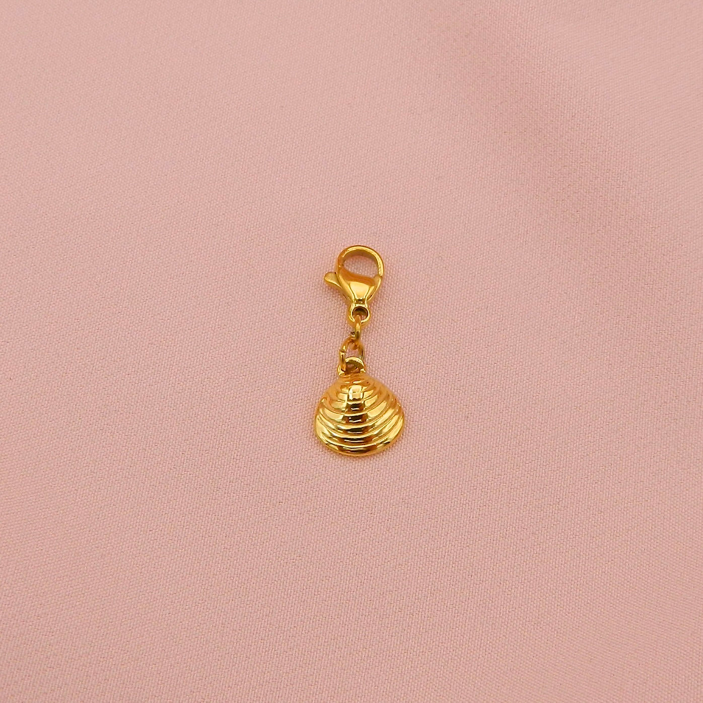 CHARMS - VONGOLE