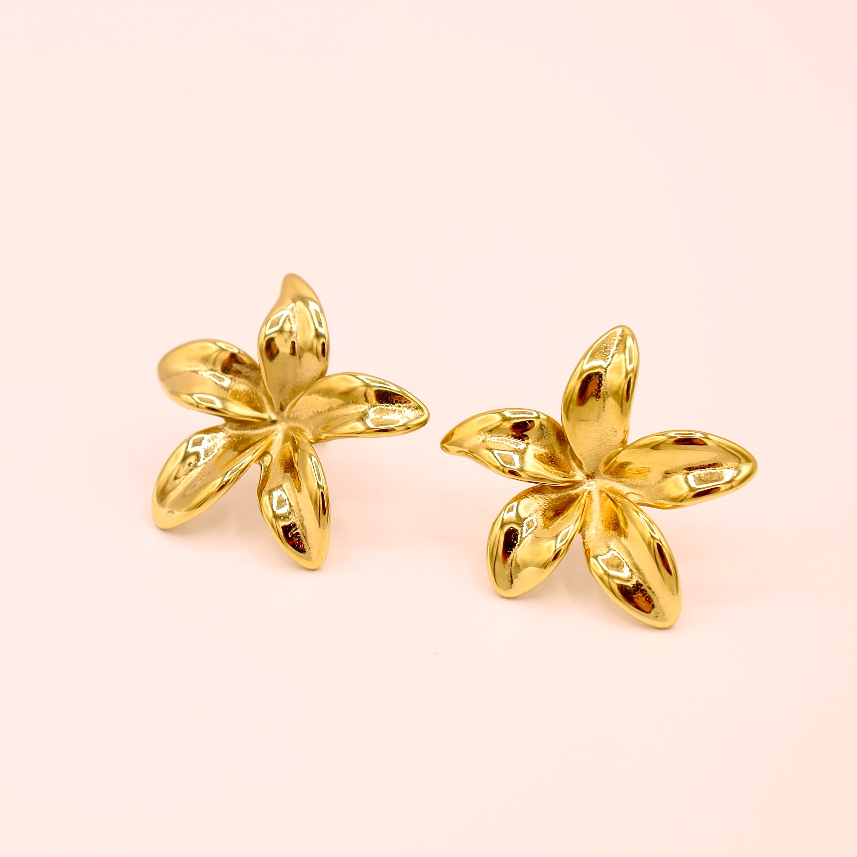 BOUCLES - ALANNAH BABY
