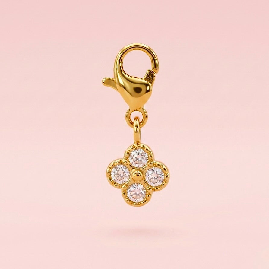 CHARMS - LENA