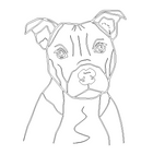 Staffie